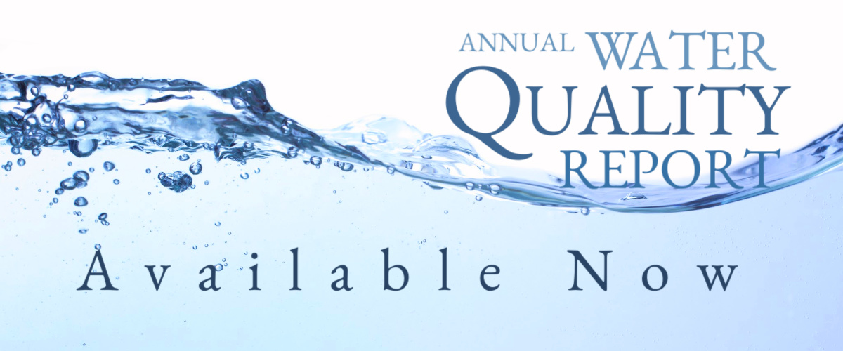 2024 Annual Water Quality Report